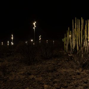 PARQUE LA GARAÑAÑA