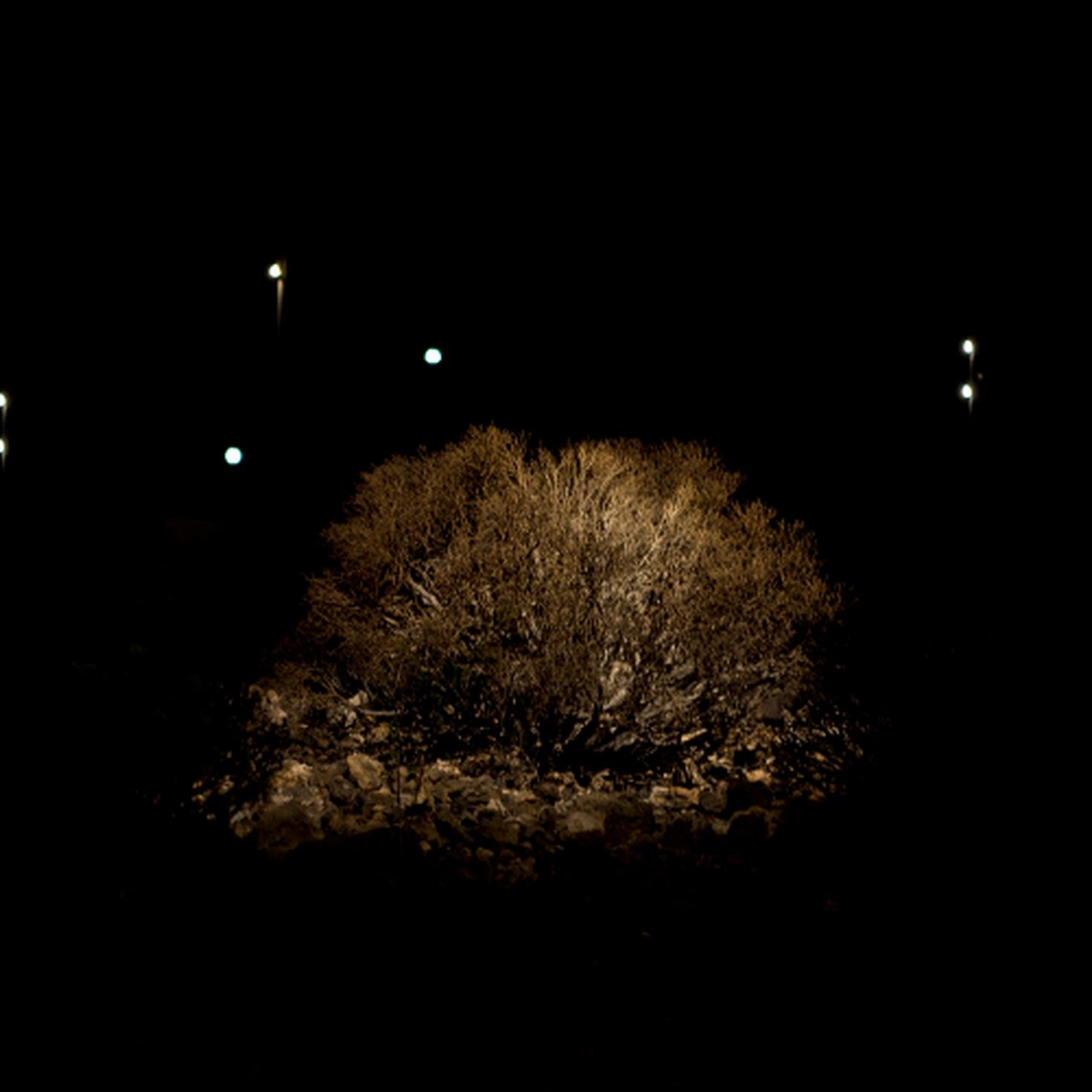 PARQUE LA GARAÑAÑA